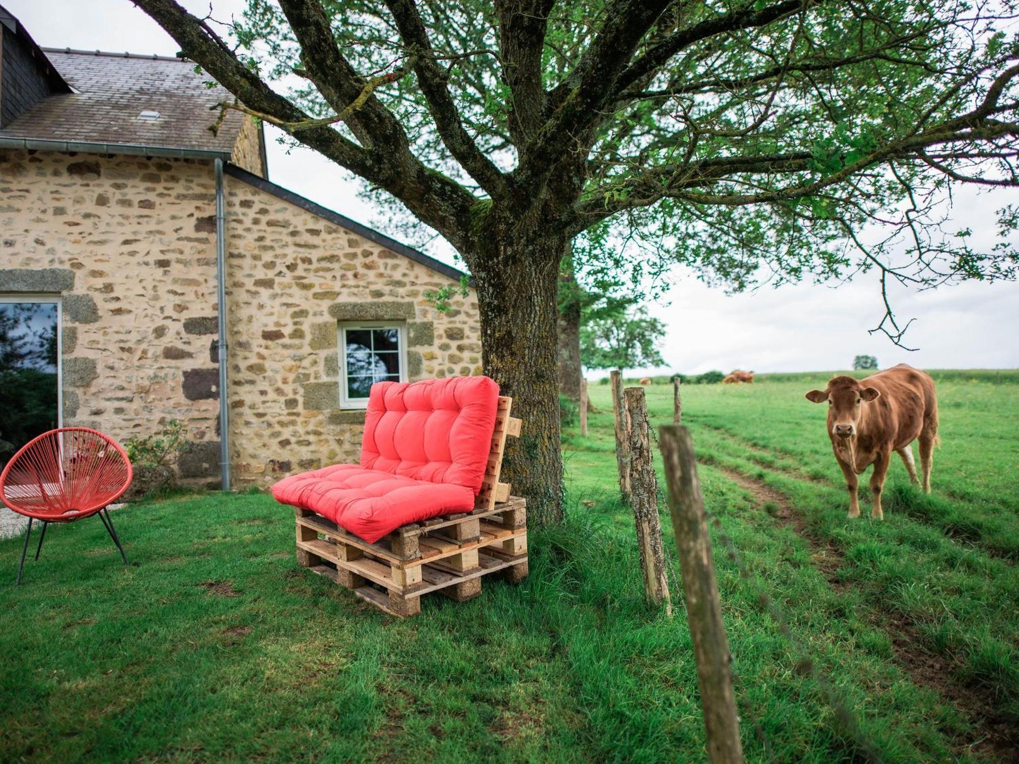 Gite De Charme Renove Avec Cheminee, Terrasse Et Proche Randonnees - Capacite 13 Pers. - Fr-1-410-179 Saint-Léonard-des-Bois Zewnętrze zdjęcie